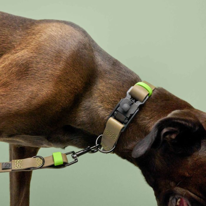 Повідець для собак Cloud7 Ipanema Оливковий L