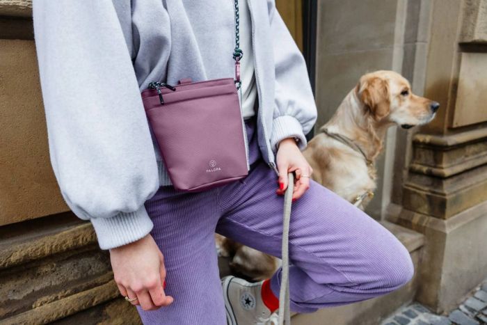 Сумка для ласощів і аксесуарів собак Palopa Karl M Ягідний