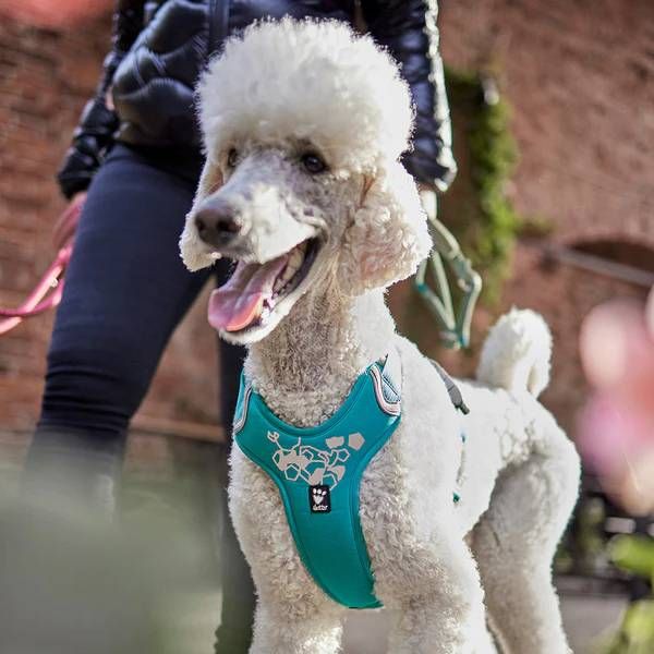 Шлейка для собак пом'якшена Hurtta Weekend Warrior 80-100 см Бірюзовий