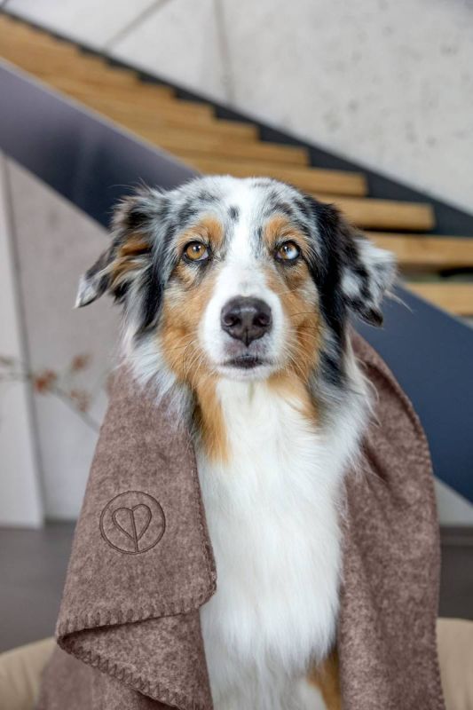 Плед для собак Palopa Mathilda Коричневий М