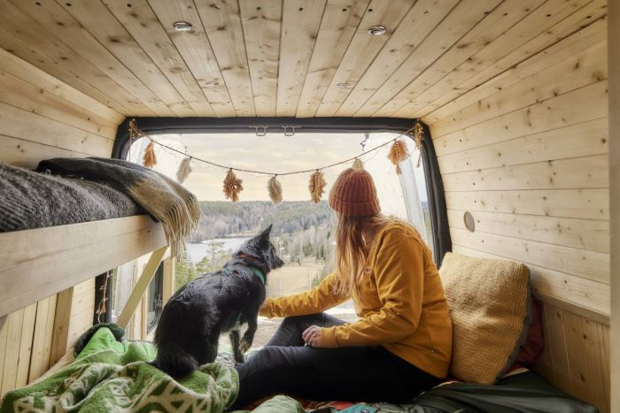 Анатомічна шлейка для собак Hurtta Casual Y-harness 80-90 Бірюзовий