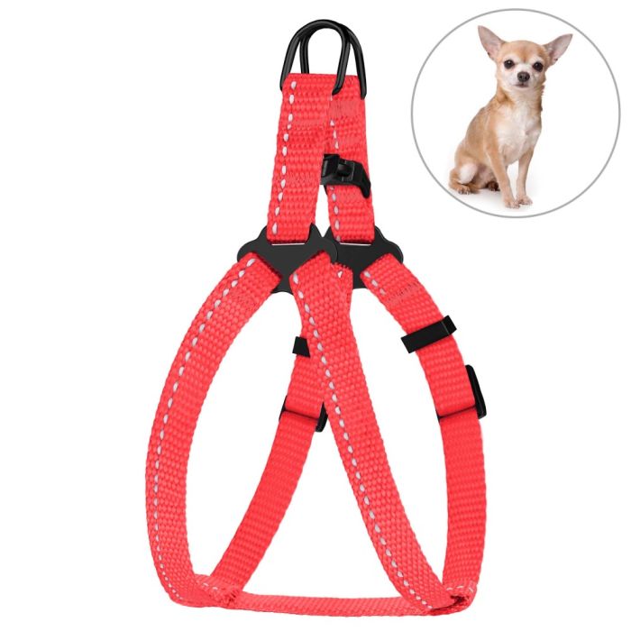 Шлея для собак BronzeDog Коралова пластиковий фастекс 1224 68Т 10мм (33-40см)