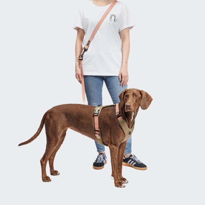 Повідець вільні руки для собак Cloud7 L-1- Hands-Free-Leash AKTIV Персиковий S