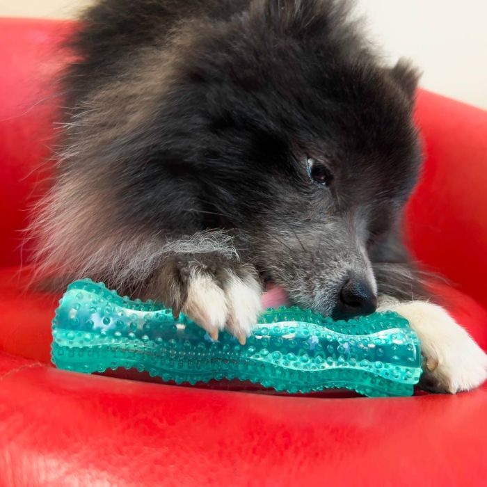 Іграшка для собак Kong Squeezz Dental Stick M