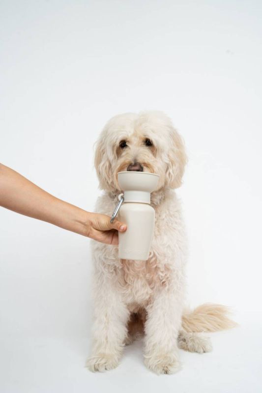 Пляшка-поїлка для собак Springland Бежевий 590 мл