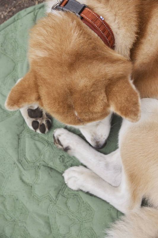 Нашийник для собак Hurtta Casual ECO 20-30 Коричневий