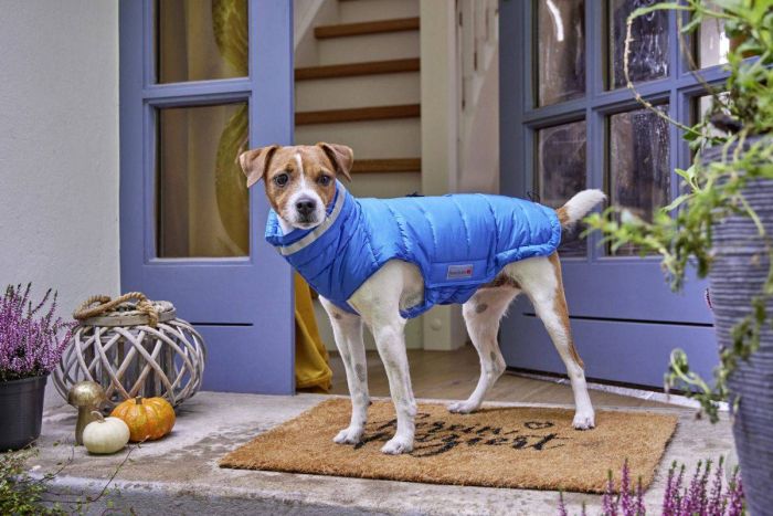 Тепла куртка для собак Wolters Cosy Синій 30 см