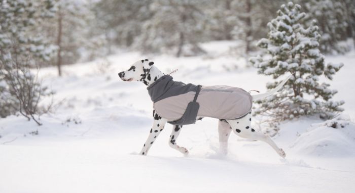 Зимова куртка для собак Glacier wool jacket 3.0 Non-stop dogwear Сірий 55