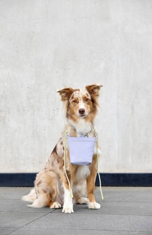Сумка для ласощів і аксесуарів собак Palopa Karl M Фіолетовий