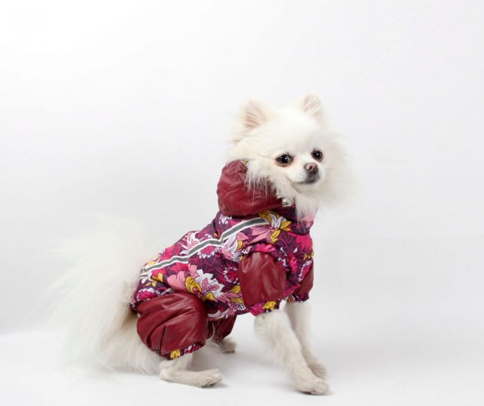 Набір Фрезія жилет силікон + комбінезон велсофт бордо (дівчинка) М