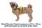 Легка шлейка для собак Ruffwear Flagline XXS 33-43 см Жовтий