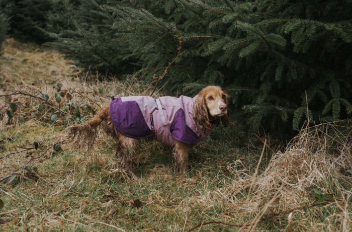 Тепла зимова куртка для собак Glacier jacket 3.0 Non-stop dogwear Фіолетовий 90
