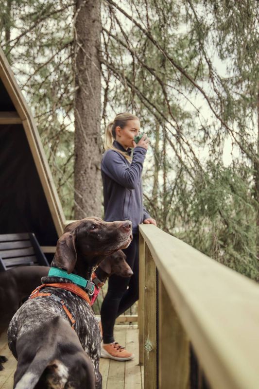 Нашийник для собак Hurtta Casual ECO 35-45 Бірюзовий