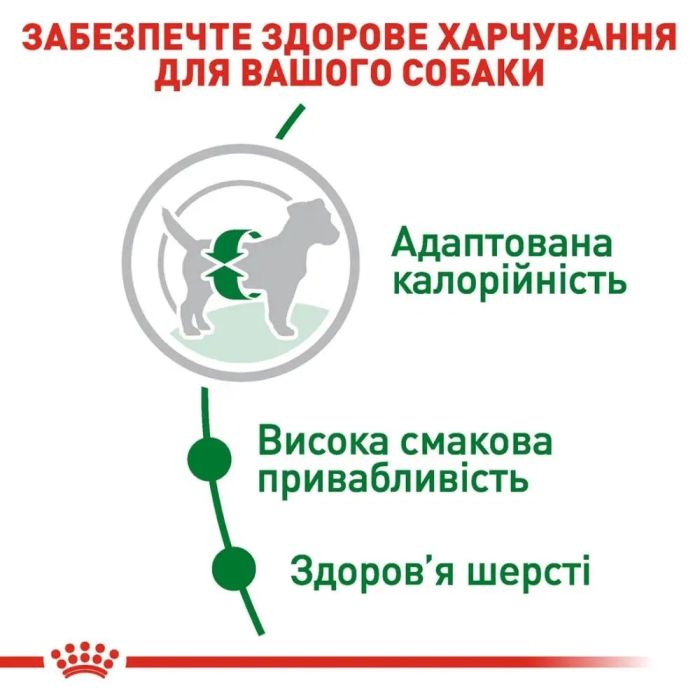 АКЦІЯ Royal Canin Mini Adult Набір кормів для собак малих порід 2 кг + 4 паучі 