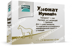 Хіонат - для лікування захворювань суглобів Хіонат
