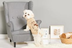 В'язаний светр для собаки Wolters Moose з візерунком Лось 20 см Бежевий