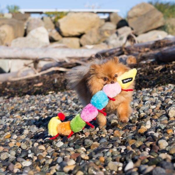 М'яка іграшка для собак гусениця ZippyPaws Caterpillar Large with 7 Squeakers з пищалкою