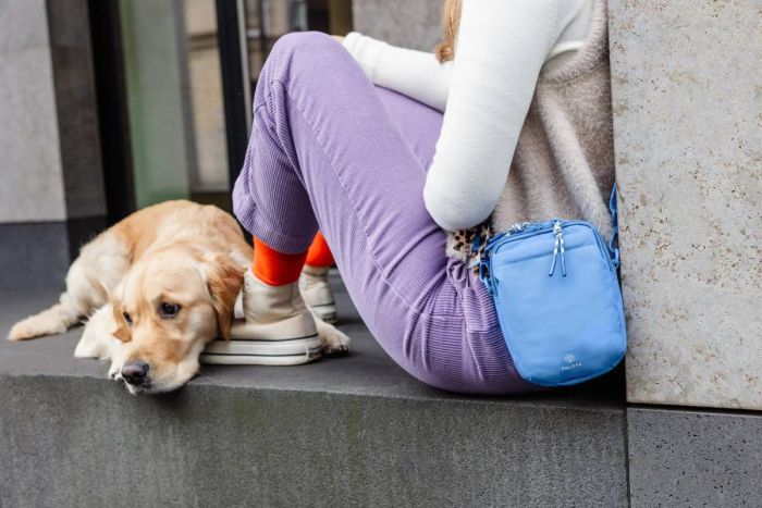 Сумка для ласощів і аксесуарів собак Palopa Greta L Небесно-блакитний