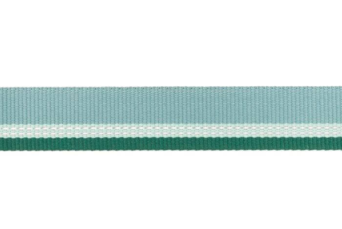 Посилений нашийник для собак зі світловідбивачем Ruffwear Top Rope™ 51-66 см Зелений