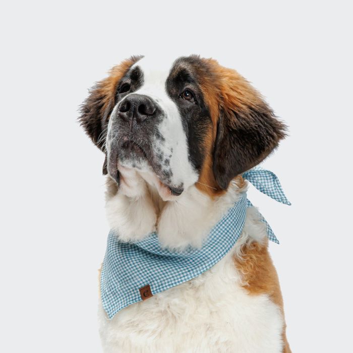Бандана для собак Cloud7 Mini Check Синій S