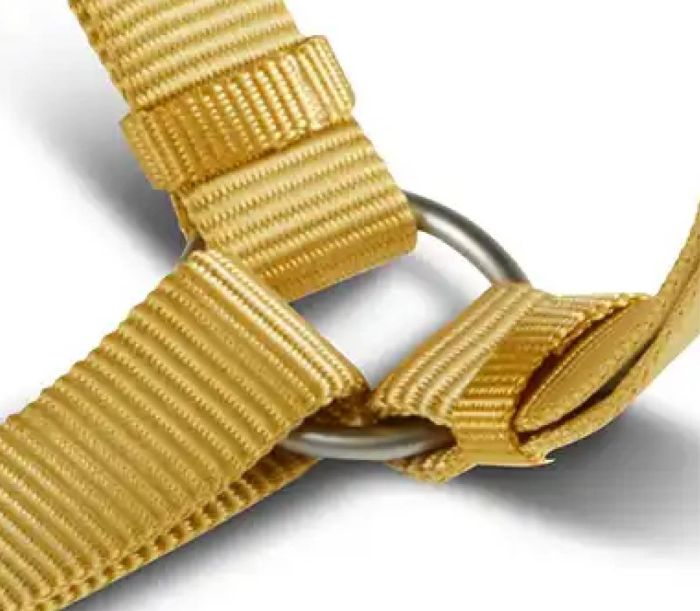 Анатомічна шлейка для собак Wolters Professional S 30-40 см / 10 мм Жовтий