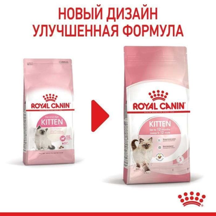 АКЦІЯ Royal Canin Kitten для кошенят на кожен день (до 12 місяців) набір корму 2 кг + 4 паучі 