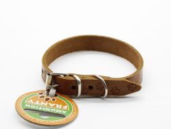 Нашийник Franty Style Paw шкіра, 14мм х 23-28см рижий