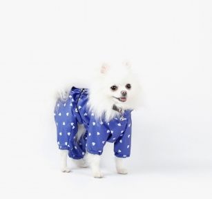 Дощовик Натхнення Для собак, плащівка без підкладки унісекс. S (А 29В 40-45 см.)