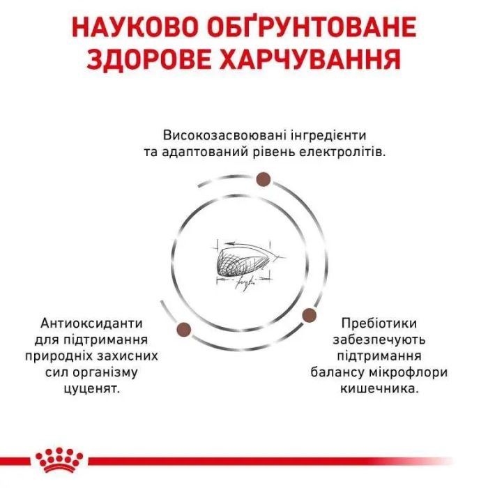 Royal Canin Gastro Intestinal Puppy Сухий корм для цуценят з чутливим травленням 1 кг