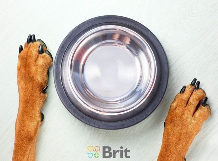 Brit Dog Grain-free Junior Large Breed Сухий корм для молодих собак великих порід 1 кг