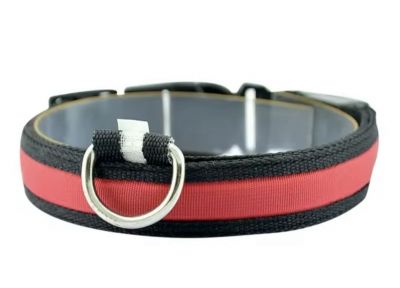 Нашийник USB нейлон Білий S 2,5 см. 34-41 см. Червоний