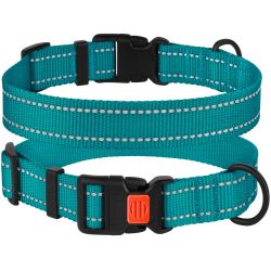 Ошейник для собак BronzeDog бирюза пластиковий фастекс 1225 50Т 25мм (35-53см)