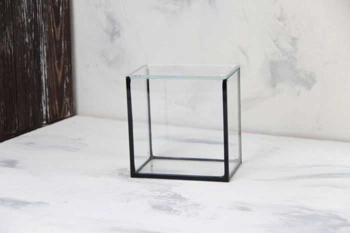 Акваріум для півників 1 секція, 151015 см 