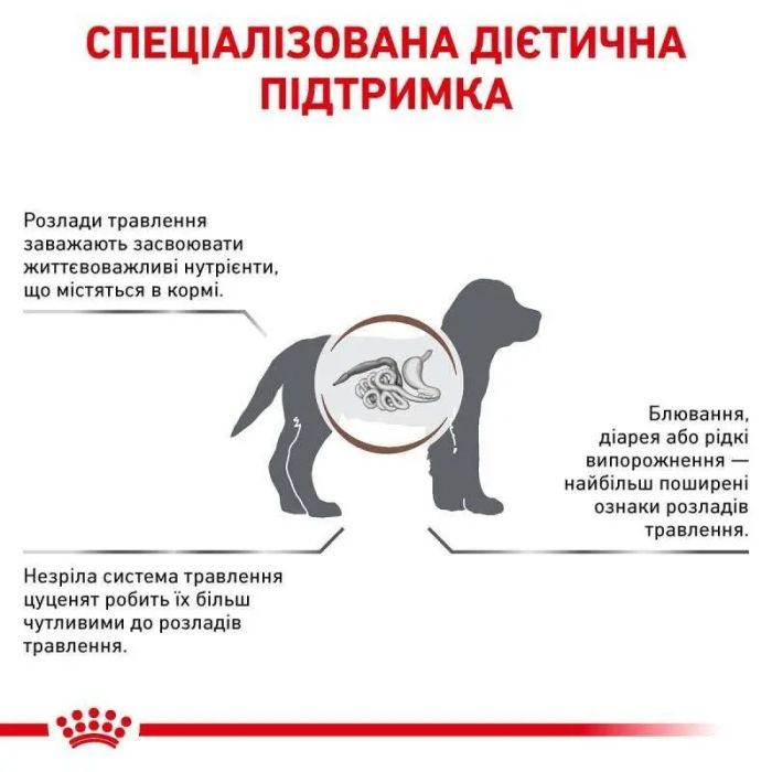 Royal Canin Gastro Intestinal Puppy Сухий корм для цуценят з чутливим травленням 1 кг