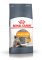 Royal Canin Hair  Skin 33 (Роял Канін Хеїр енд скін) для кішок з проблемною шерстю і чутливою шкірою 400 г