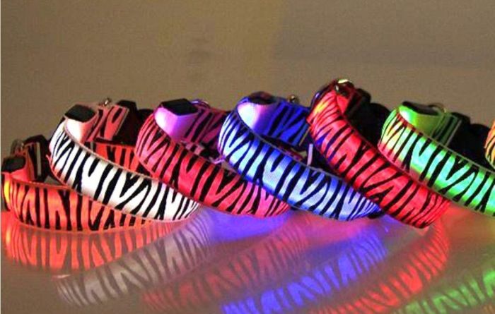 Нашийник LED Зебра тканинний XL (2,5 см  44-70см)
