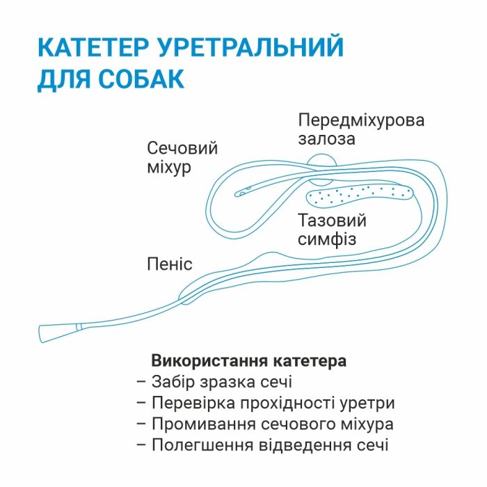Катетер уретральний для собак атравматичний 8Fr 2,6500мм