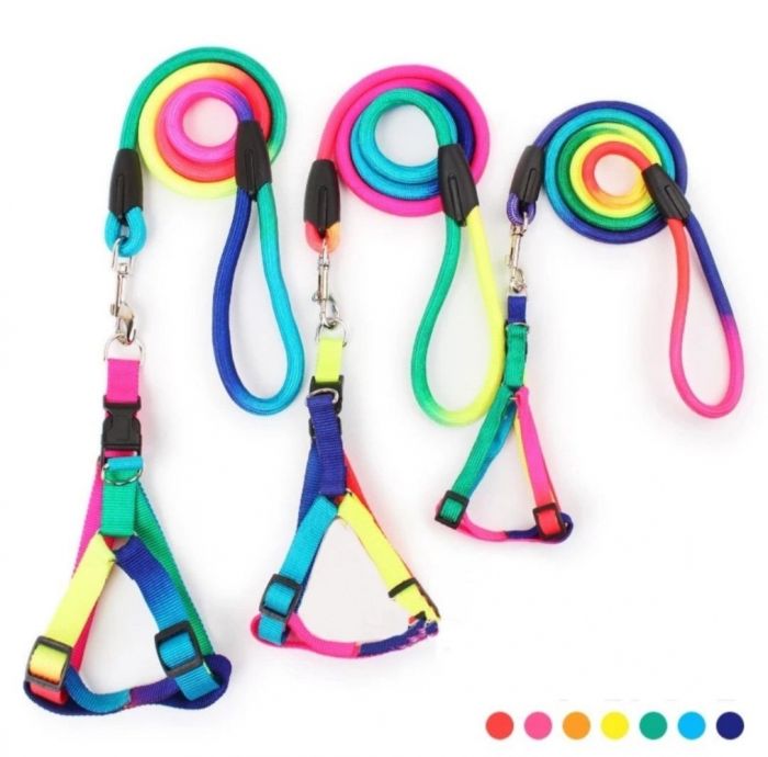 Шлея і повідець комплект 2,013-20100 круглий шнур, ручка петля кольором веселки 