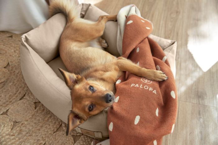 Лежак для собак Palopa Fred Baumwolle Бежевий M