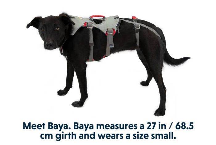 Шлейка для собак підвищеної міцності Ruffwear Doubleback™ XS 43-56 см Сірий