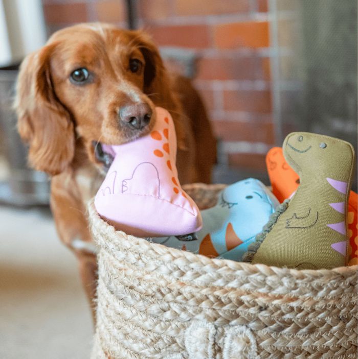 М'яка іграшка для собак Beco Pets Малюк Динозавр Рожевий S