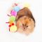 М'яка іграшка для собак гусениця ZippyPaws Caterpillar Large with 7 Squeakers з пищалкою