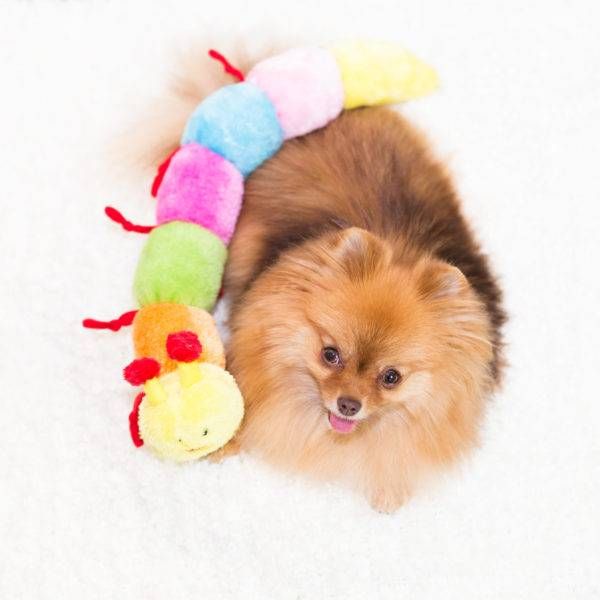 М'яка іграшка для собак гусениця ZippyPaws Caterpillar Large with 7 Squeakers з пищалкою