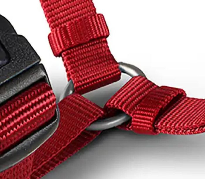 Анатомічна шлейка для собак Wolters Professional L 50-70 см / 20 мм Червоний