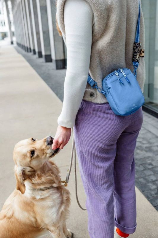 Сумка для ласощів і аксесуарів собак Palopa Greta L Небесно-блакитний