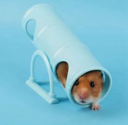 Тунель для гризунів 16х7х8см пластик RJ197 