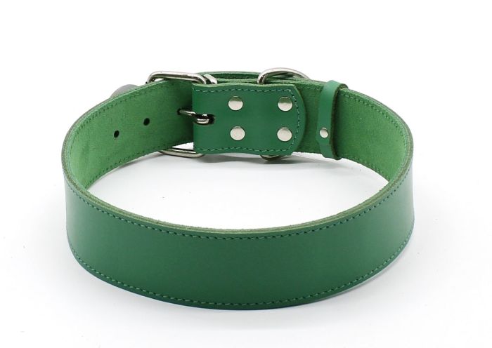 Нашийник Franty Style шкіра, 45 мм х 56-66 см аквамарин