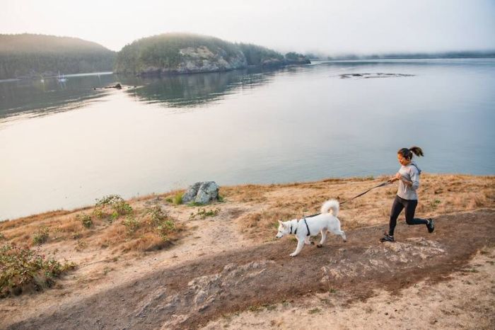 Повсякденна шлейка для собак Ruffwear Front Range® M 69-81 см Сірий