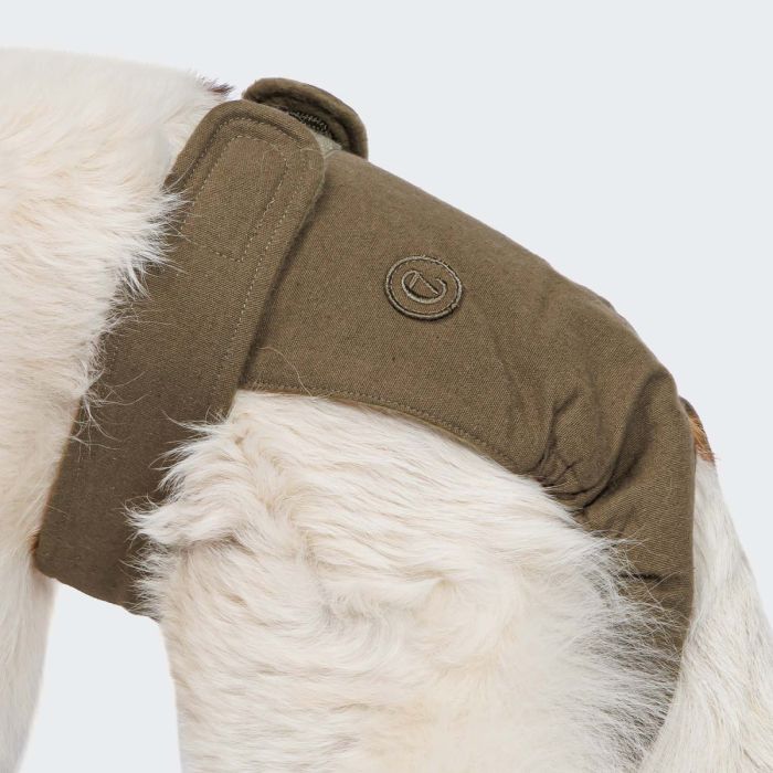 Гігієнічні труси для собак Cloud7 Panties Оливковий M