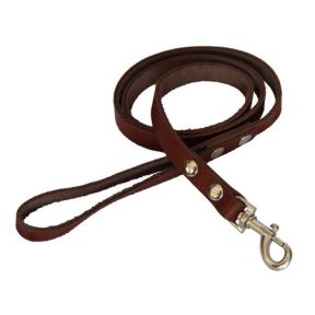 Повідець нестроченний КОРИЧНЕВИЙ 10 мм